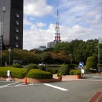 市民会館前須崎公園内の桜の紅葉