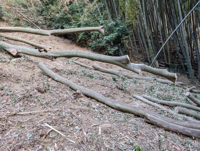 久しぶりの中年親父のオフ作業投稿